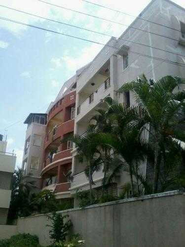 Elevation garden Elevation