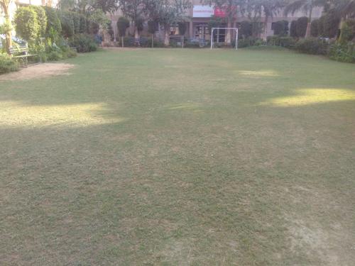 Landscape Garden and Tree Planting irwo-westend-towers Landscape Garden and Tree Planting