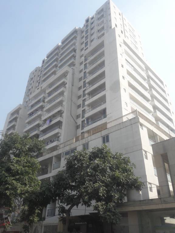  the merlin Images for Project