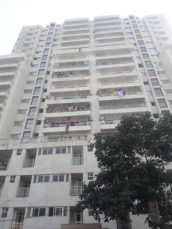  the merlin Images for Project