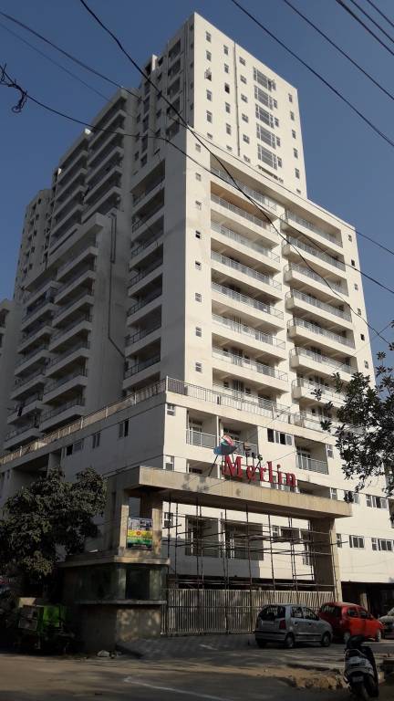  the merlin Images for Project