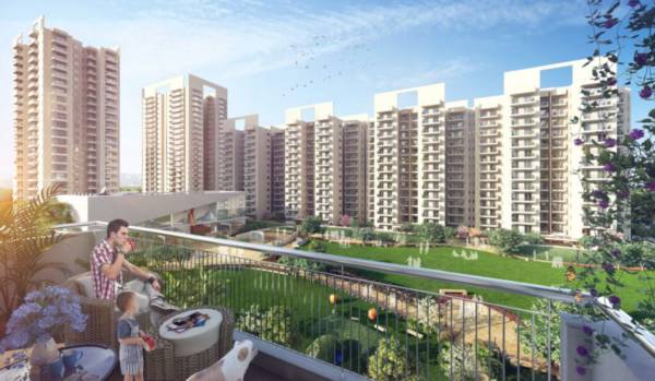  the-meadows Elevation