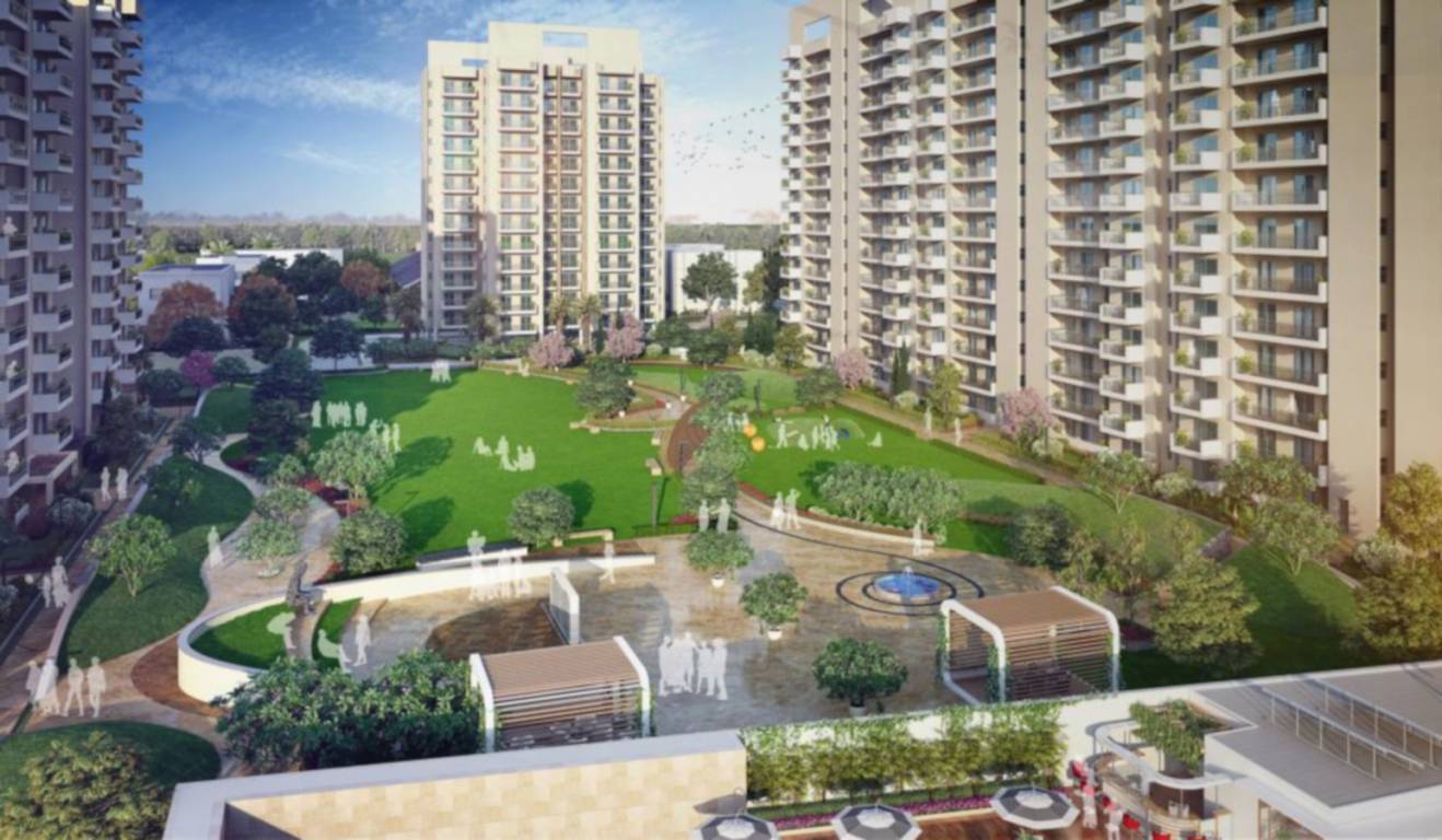  the meadows Elevation