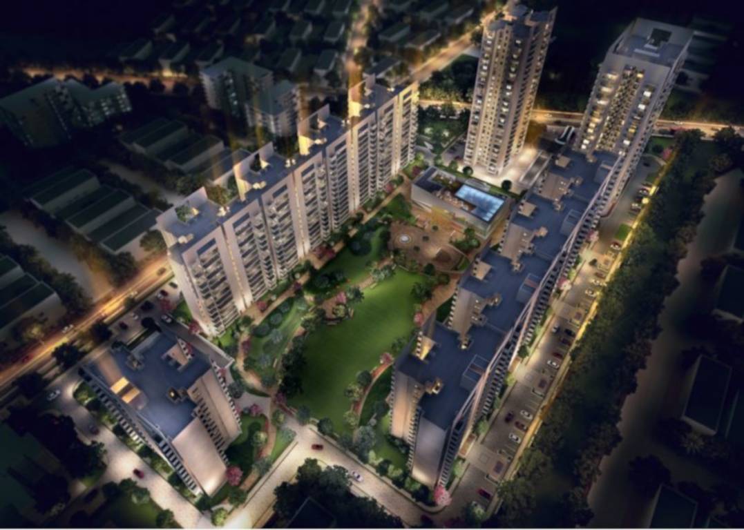  the meadows Elevation