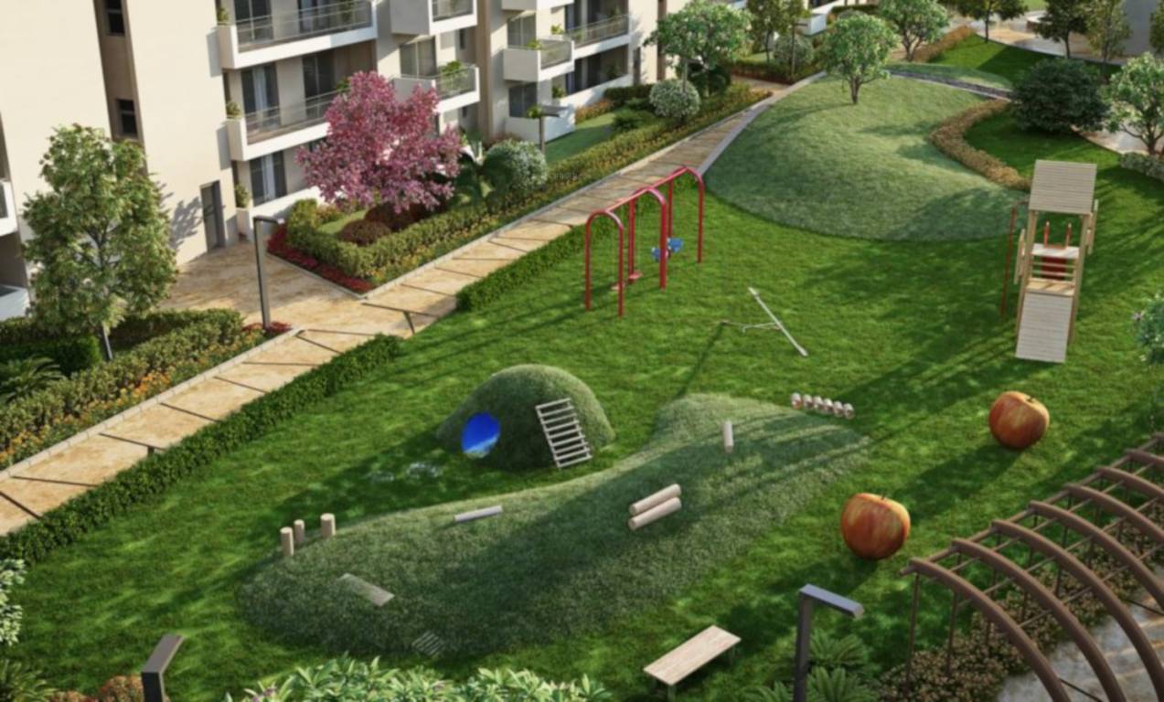  the meadows Elevation