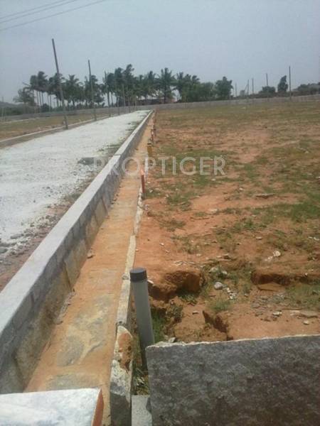 Images for Elevation of Transcity Royal Paradise