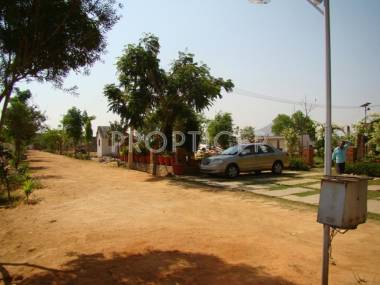 Images for Elevation of Adonai Shalom Images for Elevation of Adonai Shalom