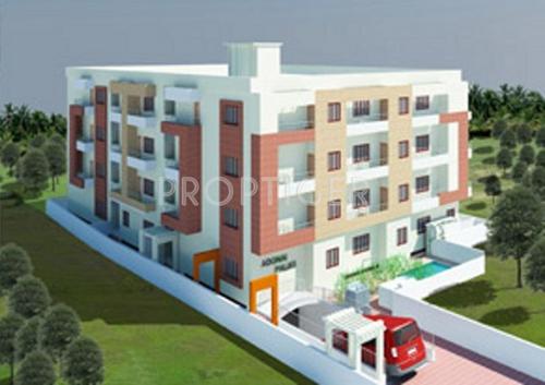 Images for Elevation of Adonai Palms palms Images for Elevation of Adonai Palms