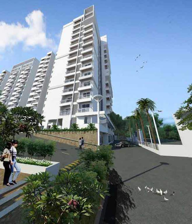  legacy Images for Elevation of SV Legacy