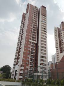 Elevation maple Elevation