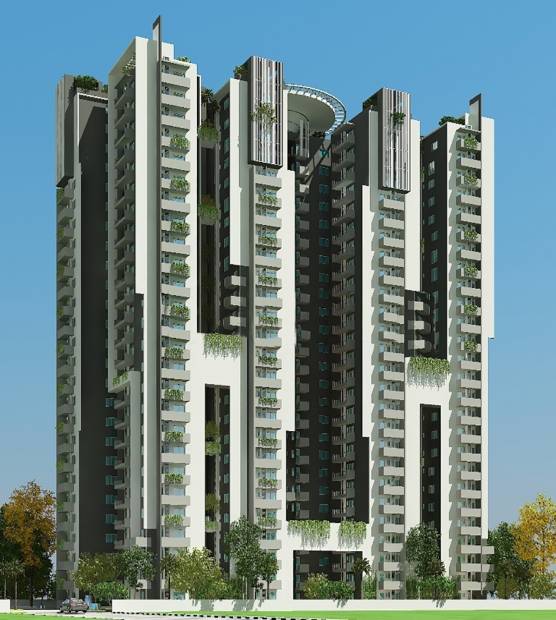 Images for Elevation of Myhna Myhna Maple
