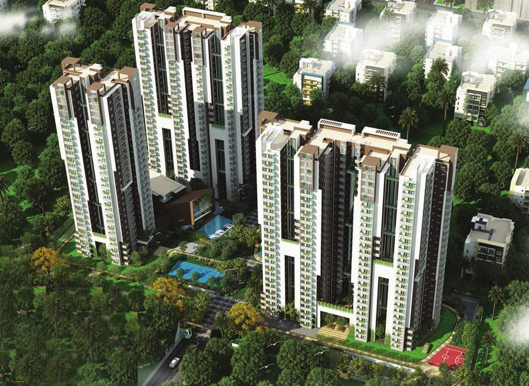 Images for Elevation of Myhna Myhna Maple