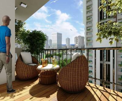 Images for Main Other of Myhna Myhna Maple