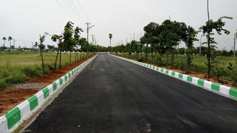  green residences Elevation