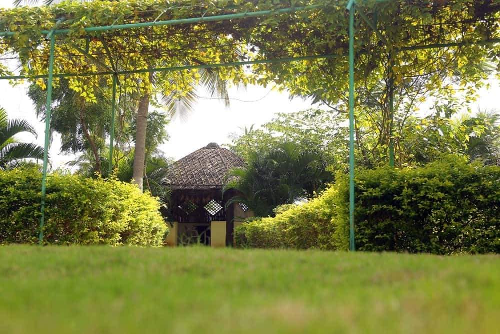  amaravati green city Plot