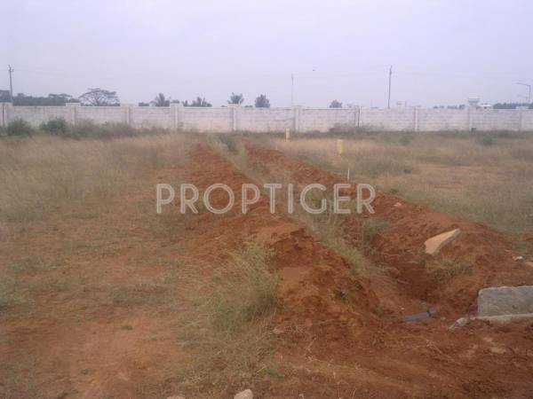 Images for Elevation of Leland Orchid