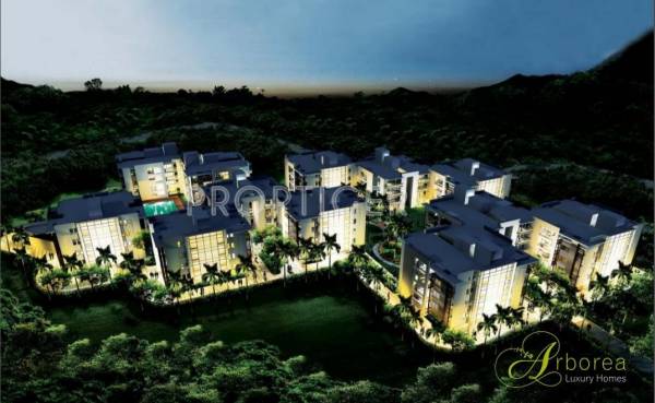 Images for Elevation of Conscient Infrastructure Arborea Images for Elevation of Conscient Infrastructure Arborea