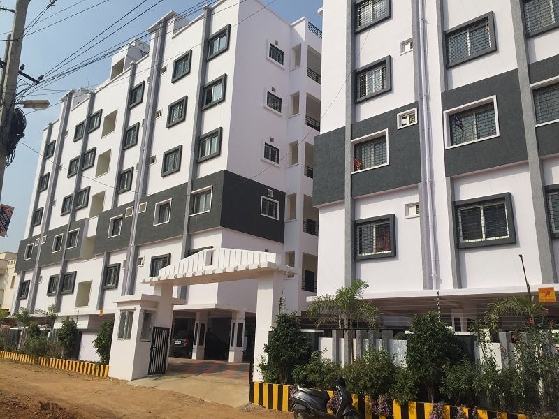  maple tree a Elevation