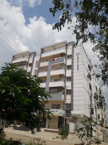  maple-tree-a Elevation