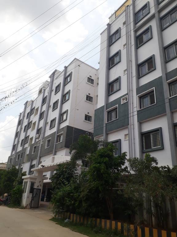  maple tree a Elevation