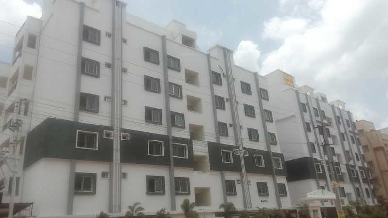  maple tree a Elevation