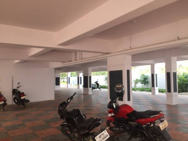  maple-tree-a Car Parking