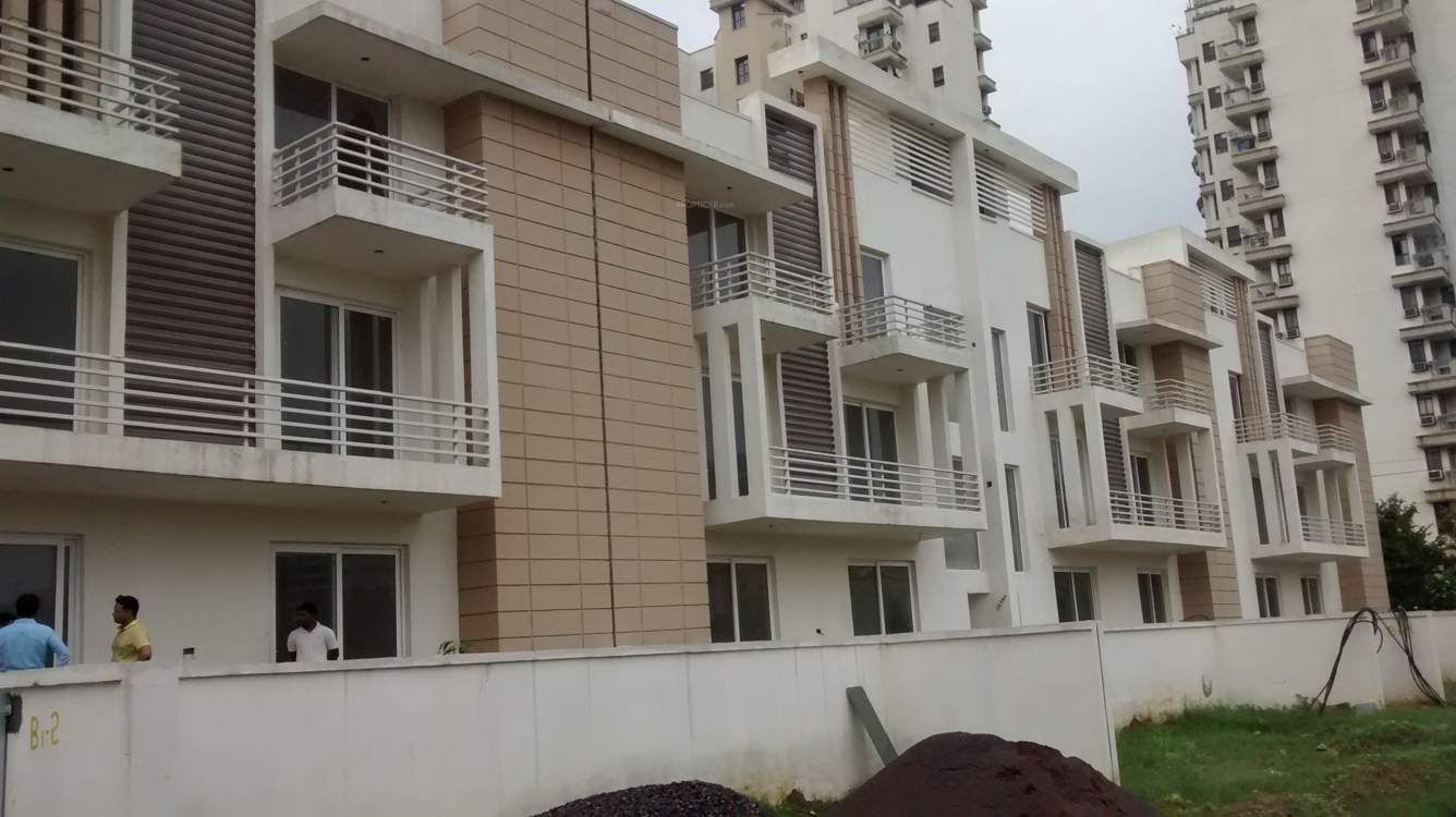  courtyard Images for Elevation of Roots Roots Courtyard