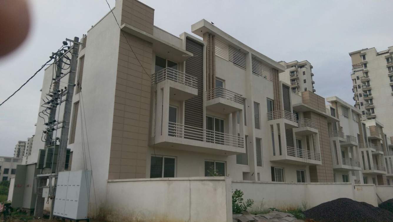  courtyard Images for Elevation of Roots Roots Courtyard