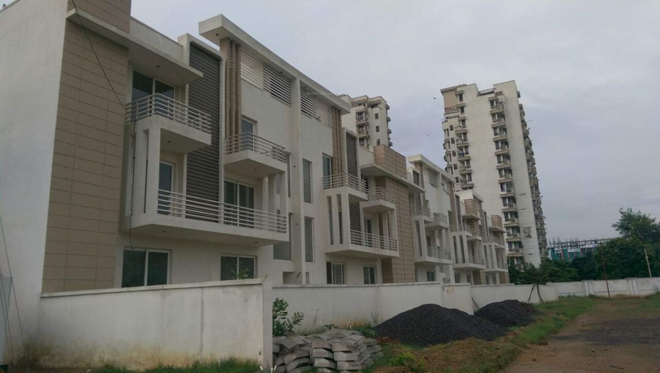  courtyard Images for Elevation of Roots Roots Courtyard