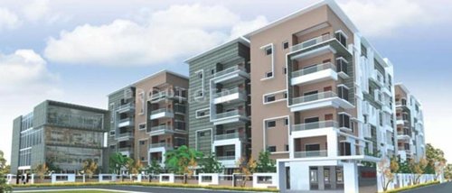  galaxy Images for Elevation of Legend Galaxy