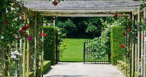 Elevation golden-city Elevation