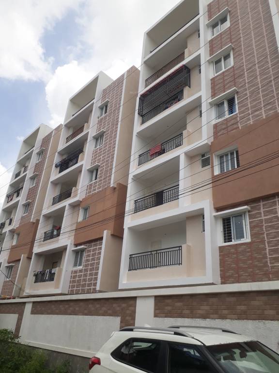 royal spring Elevation