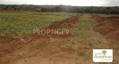 Images for Elevation of Greater Green Avenue