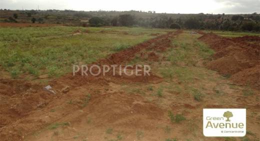 Images for Elevation of Greater Green Avenue Images for Elevation of Greater Green Avenue