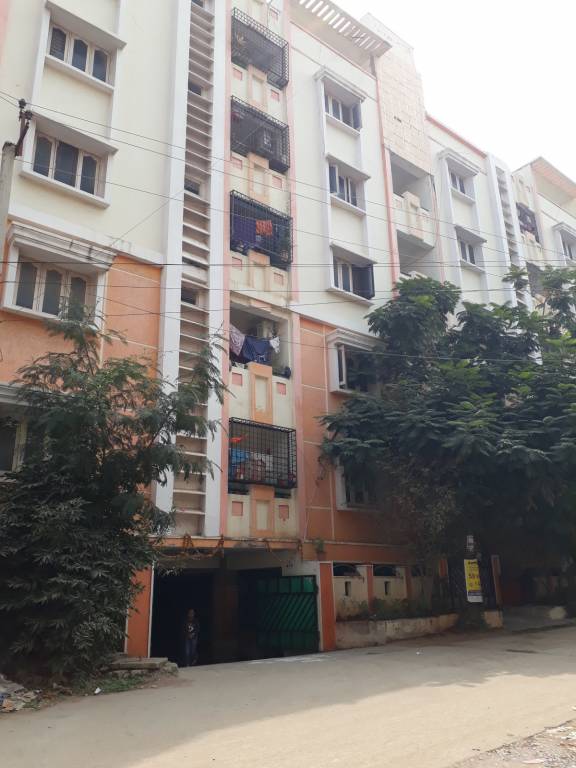 Images for Project Images for Project