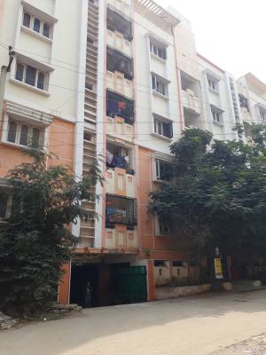 Images for Project Images for Project