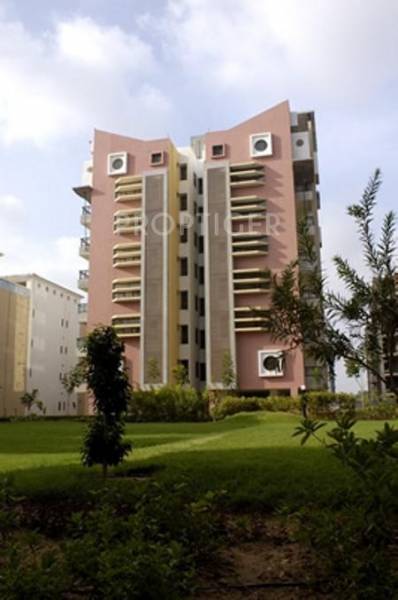  rainforest-1 Images for Elevation of Swagat Rainforest 1