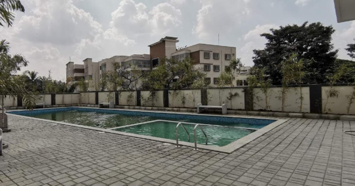  paradise Swimming Pool