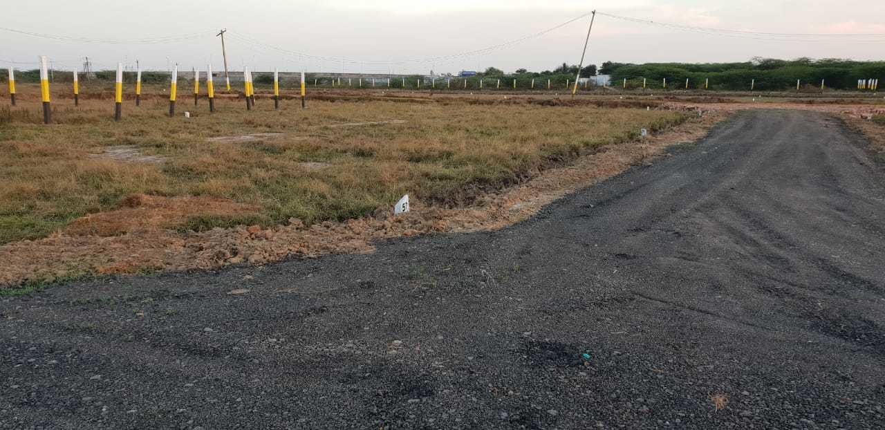 Images for mainOther