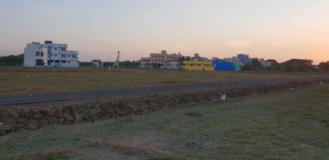 Images for mainOther