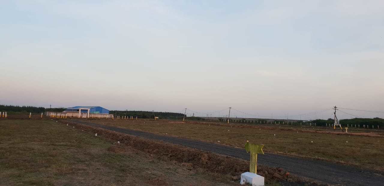 Images for mainOther