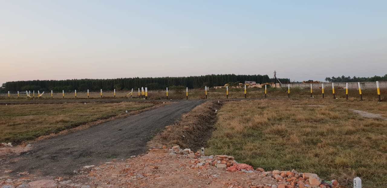 Images for mainOther