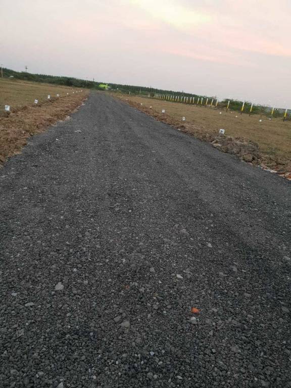 Images for mainOther