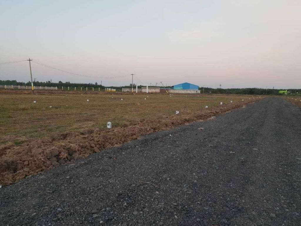 Images for mainOther