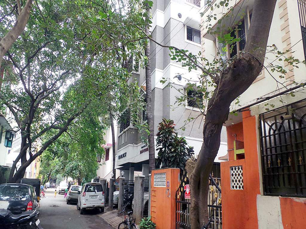 Images for Elevation of Man Pearl Nest