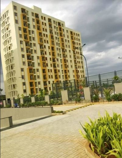  new-haven-golden-garden Elevation