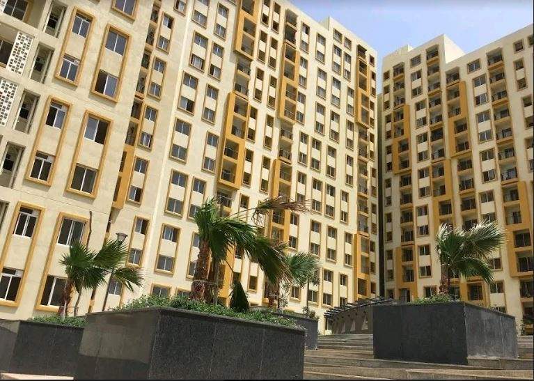  new haven golden garden Elevation