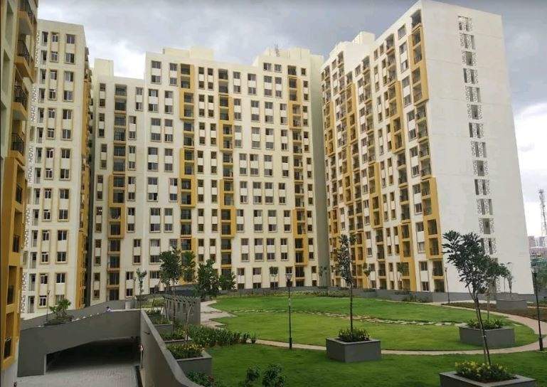  new haven golden garden Elevation