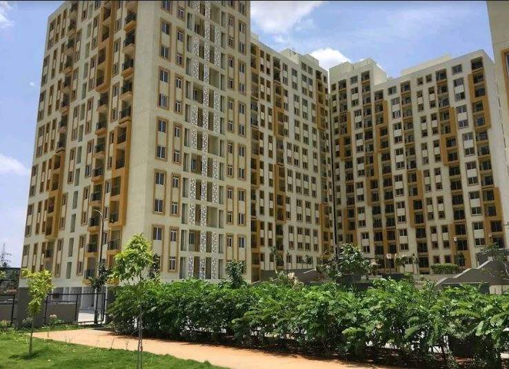  new haven golden garden Elevation