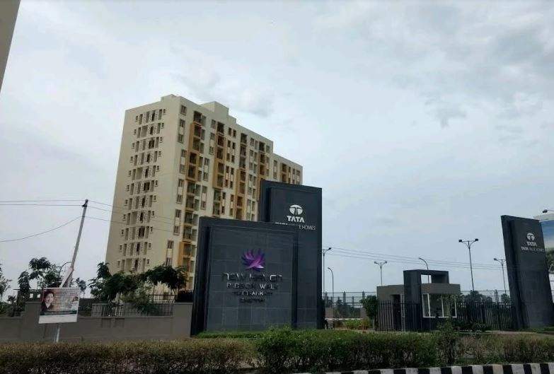  new haven golden garden Elevation